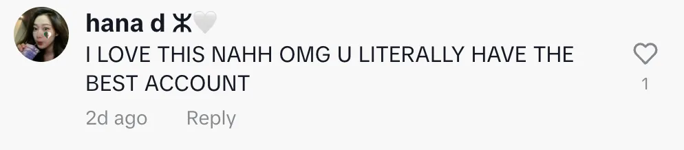 Fan comment 6