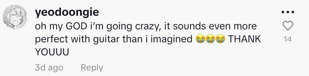 Fan comment 14
