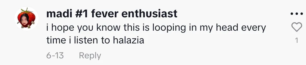 Fan comment 17